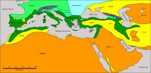 Med Climates Color