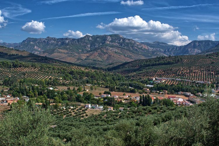 A landscape of farm country over hills