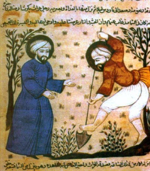 A drawing of two men planting an herb, with Arabic text in the margins.