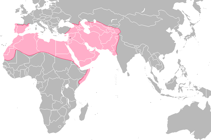 A world map showing the extent of the Ummayad Caliphate in 750 CE.